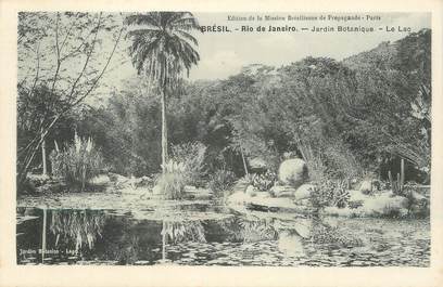 CPA BRESIL "Rio de Janeiro, le jardin botanique"