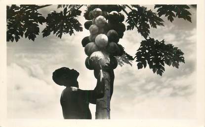 CPA COTE D'IVOIRE "Cueillette des papayes"
