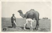 Asie CARTE PHOTO IRAK / BAGDAD