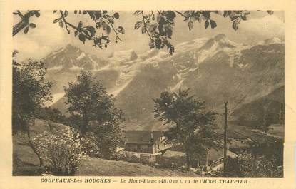 CPA FRANCE 74 "Coupeaux les Houches"