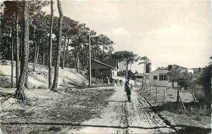 CPSM FRANCE 85 "La Tranche sur Mer, entrée des pins"