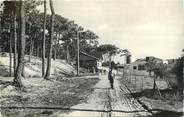 85 Vendee CPSM FRANCE 85 "La Tranche sur Mer, entrée des pins"