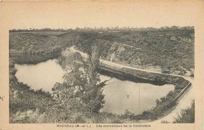 CPA FRANCE 49 "Nyoiseau, site de la Corbinière"