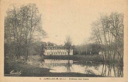 CPA FRANCE 49 "Jumelles, Chateau des Haies"