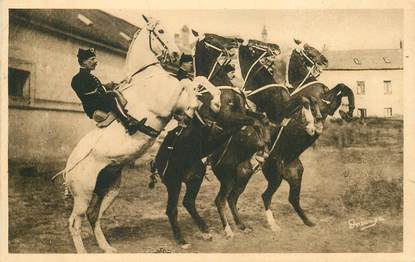 CPA FRANCE 49 "Saumur, Ecole de cavalerie"