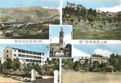 66 PyrÉnÉe Orientale CPSM FRANCE 66 "Osseja"