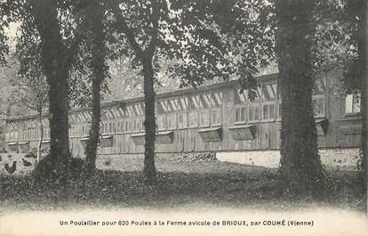 CPA FRANCE 86 "Ferme avicole de Brioux par Couhé"