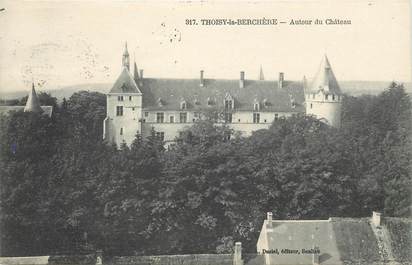 CPA FRANCE 21 "Thoisy la Berchère, le chateau"