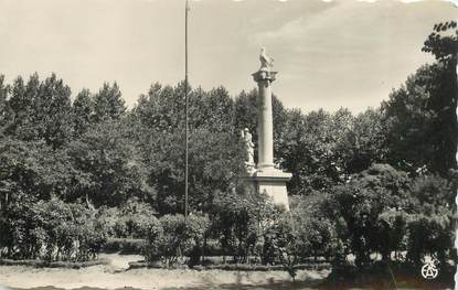 CPSM ALGERIE "Tiaret, le monument aux morts"