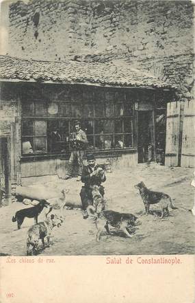 CPA TURQUIE "Constantinople, les chiens de rue"