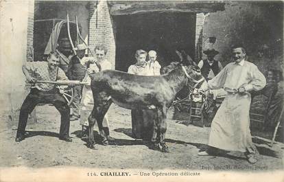 CPA FRANCE 89 "Chailley" / ANE