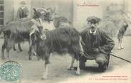 31 Haute Garonne CPA FRANCE 31 "Le Chevrier et son troupeau"