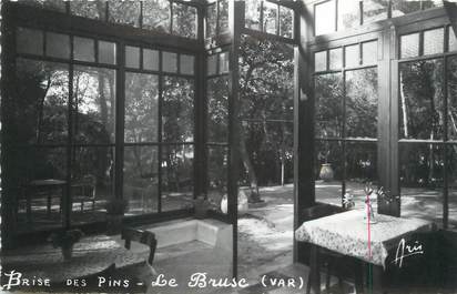 CPSM FRANCE 83 "Le Brusc, Brise des Pins"