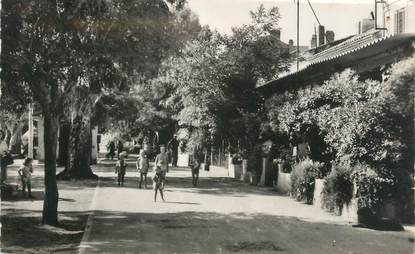 CPSM FRANCE 83 "Porquerolles, Allée principale"