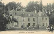 72 Sarthe CPA FRANCE 72 "Juillé, Le Château de Juillé"