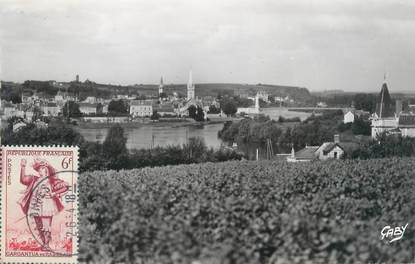 CPSM FRANCE 49 "Chalonnes-sur-Loire"