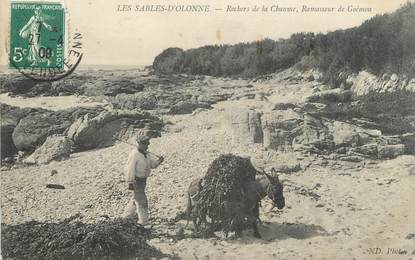 CPA FRANCE 85 "Les Sables d'Olonne, Rocher de la Chaume, Ramasseur de Goémon"