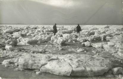 CPSM FRANCE 59 "Côtes de la mer du Nord, La Banquise Hiver 1956"