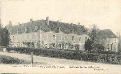 CPA FRANCE 49 "Dénezé sous le Lude, Chateau de la Boissière"