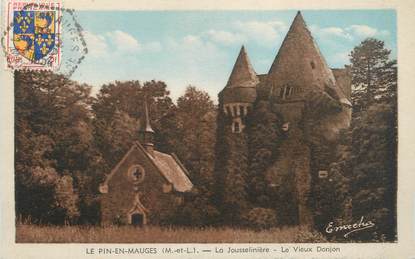 CPA FRANCE 49 "Le Pin en Mauges, La Jousselinière, Vieux Donjon"