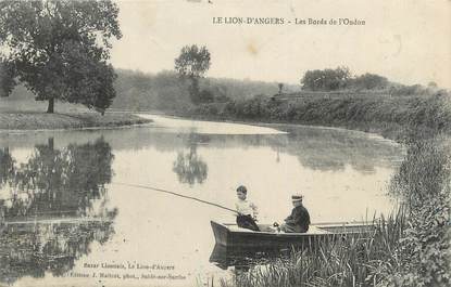 CPA FRANCE 49 "Le Lion d'Angers, Bords de l'Oudon"