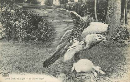 CPA FRANCE 73 "Dans les Alpes, Grand Aigle"