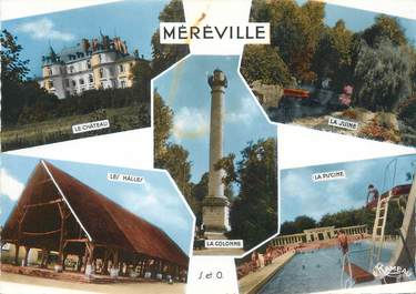 CPSM FRANCE 91 "Méréville"