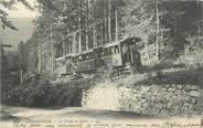 88 Vosge CPA FRANCE 88 "Gérardmer, Le Train en Forêt, Tram"