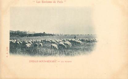   CPA FRANCE 91 "Epinay sous Sénart, la Plaine"