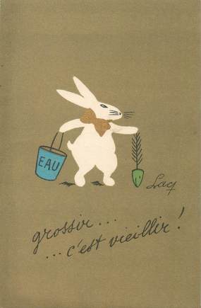 CPA LAPIN