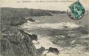 29 Finistere CPA FRANCE 29 "Douelan, Port Blanc, Cottage Miramar"