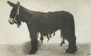 Animaux CPA ANE du Poitou "Concours central hippique, Paris"