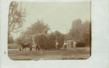 CARTE PHOTO / AGRICULTURE