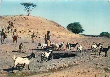 CPSM SOMALIE DJIBOUTI