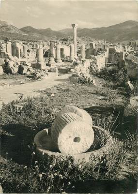 CPSM MAROC "Volubilis, le moulin à grain"