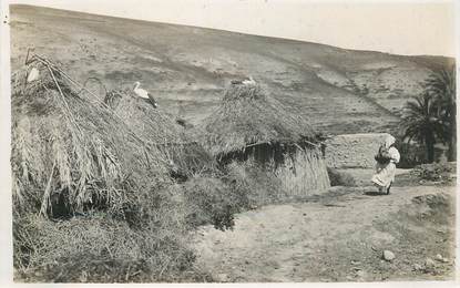 CARTE PHOTO MAROC "Fez"