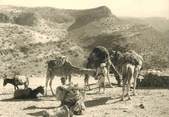 Maroc CPSM MAROC "Sud Marocain" / N°166 PHOTO EDITION BERTRAND ROUGET CASABLANCA