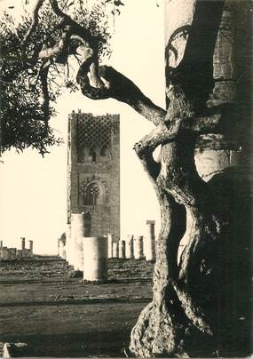 CPSM MAROC "Rabat, la Tour Hassan" / N° 53 PHOTO EDITION BERTRAND ROUGET CASABLANCA