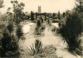 Maroc CPSM MAROC "Taroudant, parc de la Gazelle d'Or" / N° PHOTO EDITION BERTRAND ROUGET CASABLANCA