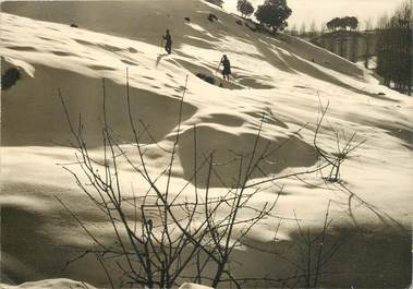 CPSM MAROC "Environs d'Ifrane" / N° 218 PHOTO EDITION BERTRAND ROUGET CASABLANCA