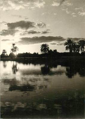 CPSM MAROC "Bassin de la Ménara à Marrakech" / N°13 PHOTO EDITION BERTRAND ROUGET CASABLANCA