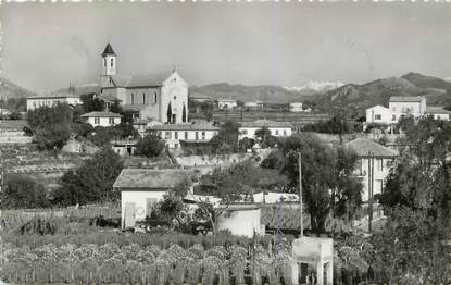 CPSM FRANCE 06 "Nice, Saint Antoine Ginestière, vue générale"