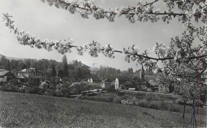 CPSM FRANCE 74 "Collonges sous salave "