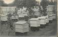 CARTE PHOTO APICULTURE