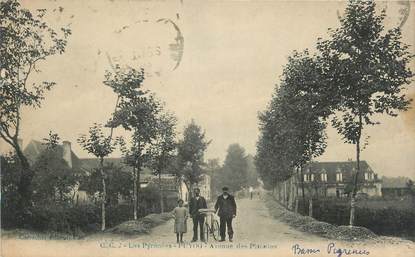 CPA FRANCE 64 "Puyoo, Avenue des Platanes"