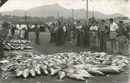 64 PyrÉnÉe Atlantique CPSM FRANCE 64 "Saint Jean de Luz, vente de poissons à la criée"