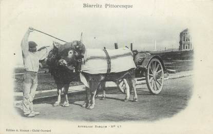 CPSM FRANCE 64 "Biarritz, attelage basque"