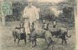 CPA FRANCE 28 " Angerville, chiens "