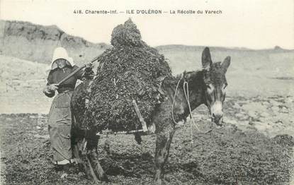 CPA FRANCE 17 " Ile d'Oléron, récolte du Varech " / Âne