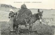 17 Charente Maritime CPA FRANCE 17 " Ile d'Oléron, récolte du Varech " / Âne